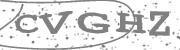 Type the letters in the image or Type the first letter of the words spoken in the audio.
