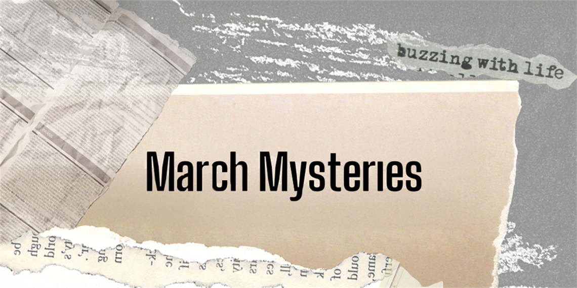 March Mysteries